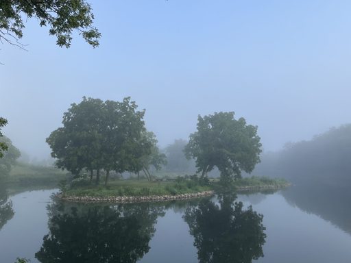Trees reflecting on the waters of Lyman Lakes.