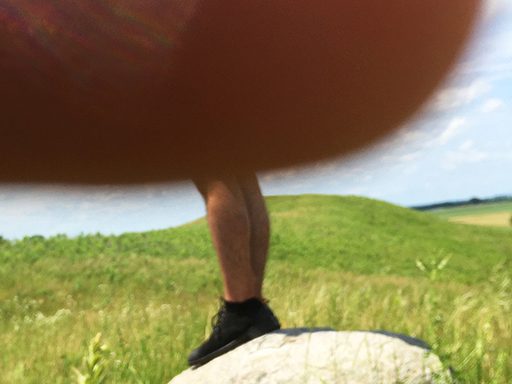 David Lefkowitz, Master of the obstructed view