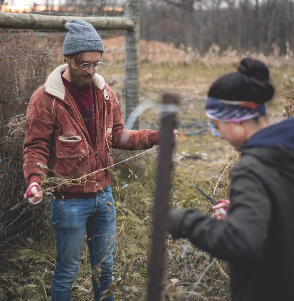Students working on the farm
