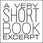 A Very Short Book Excerpt