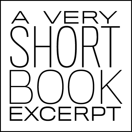 Short Book Synopsis Example Short Book Synopsis Example