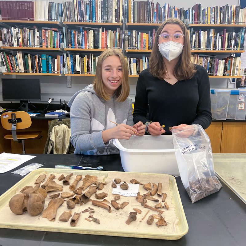 students sorting bones in a lab