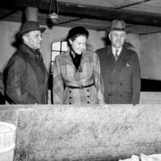 Eugenie Anderson, U.S. Ambassador to Denmark, looks over a pig pen on a typical Danish farm during a tour of various Danish cooperative plants in North Zealand