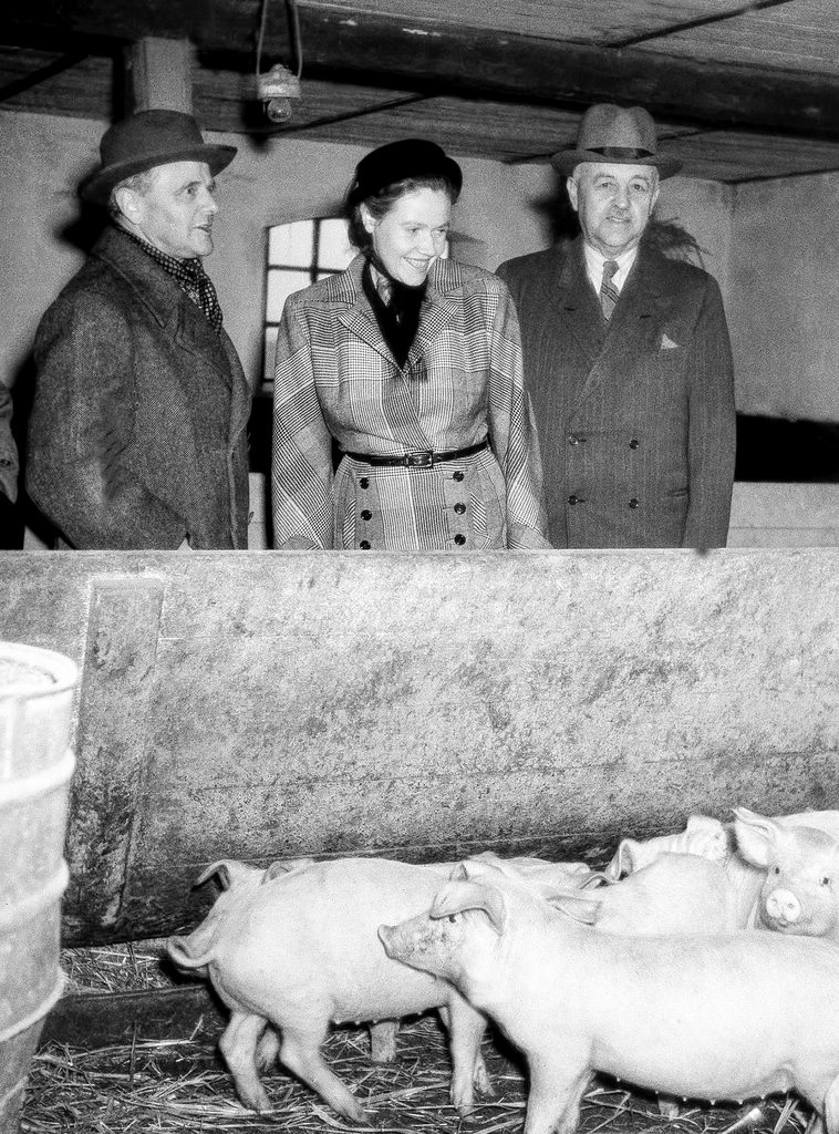 Eugenie Anderson, U.S. Ambassador to Denmark, looks over a pig pen on a typical Danish farm during a tour of various Danish cooperative plants in North Zealand