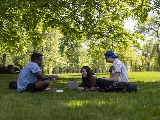Three students studying together on green lawn