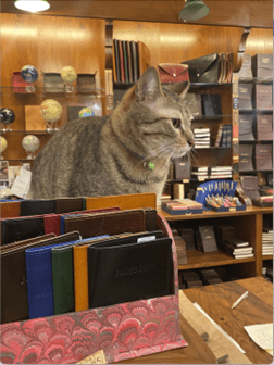 A shopkeer in Venice