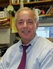 Photo of Stephen Strand
