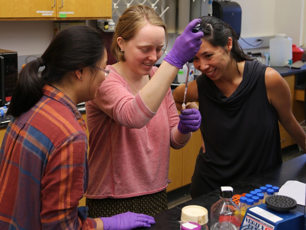 Viola Li ’19, Elaina Thomas ’18, and Rika Anderson ’06 at work in a biology lab