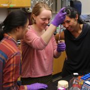 Viola Li ’19, Elaina Thomas ’18, and Rika Anderson ’06 at work in a biology lab