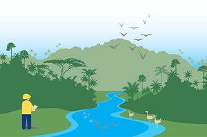 illustration of a river, birds, and a person with a clipboard