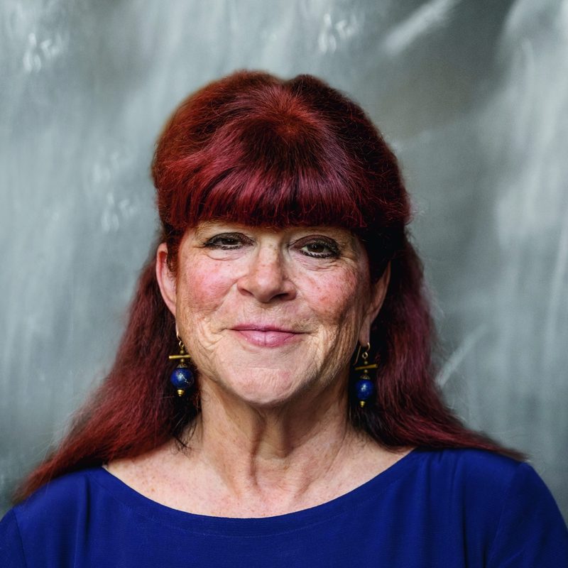 Deborah Appleman, Hollis L. Caswell Professor of Educational Studies