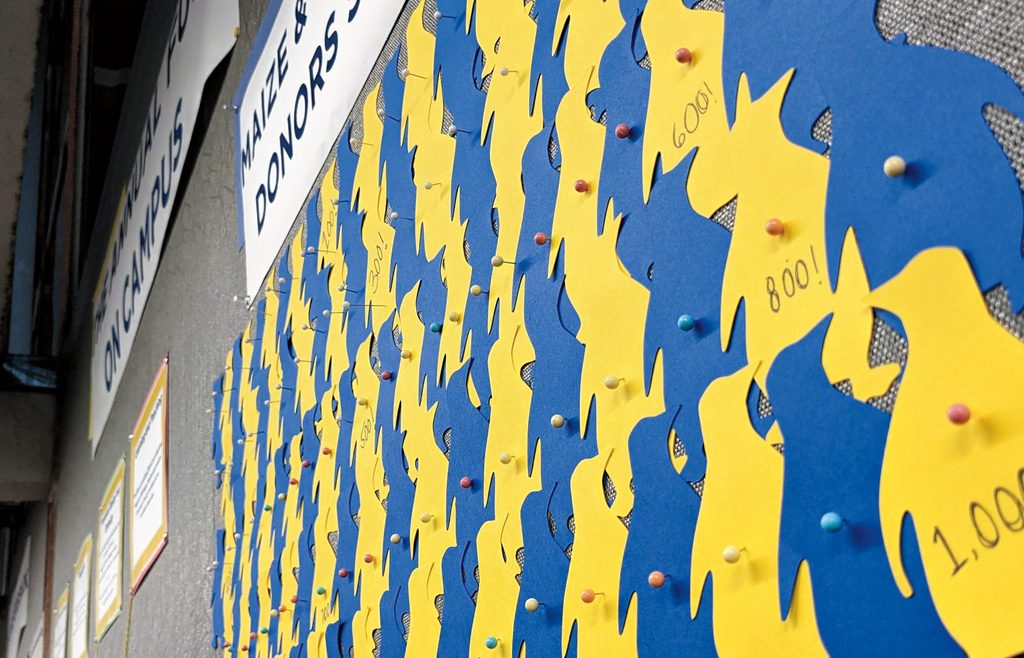 blue and yellow paper penguins pinned to a board