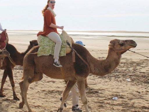 Casey on a Camel